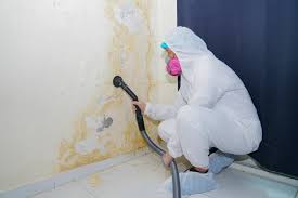 Best Mold Removal for HVAC Installations in Sturgeon Bay, WI